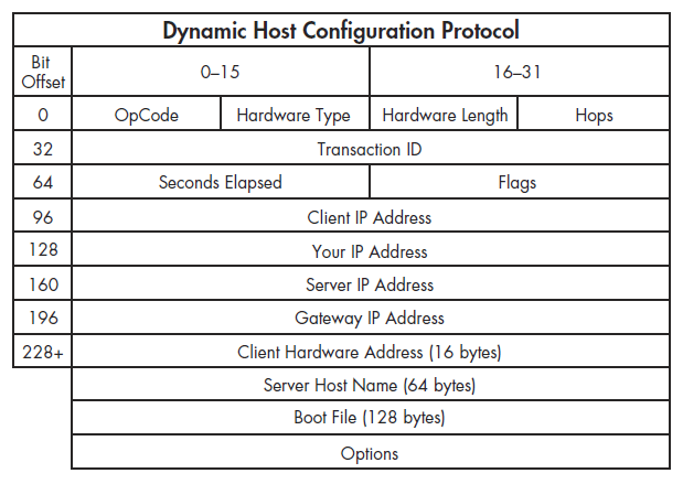 ساختار یک بسته‌ی DHCP